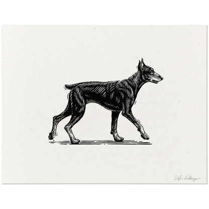 Doberman Pinscher art print featuring a black ink drawing of a walking dog