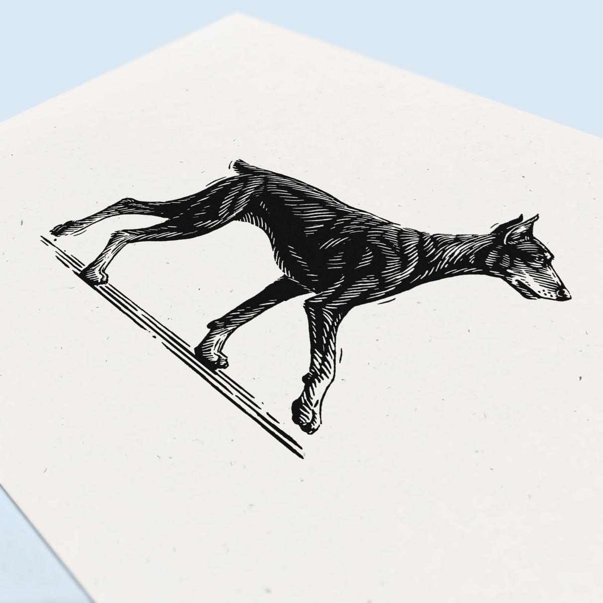 Doberman Pinscher art print with a black ink drawing of a running dog