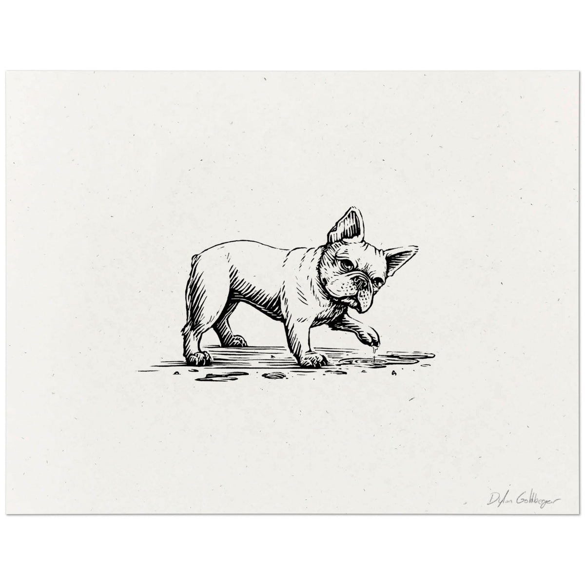 French Bulldog art print with a black ink drawing of a standing dog