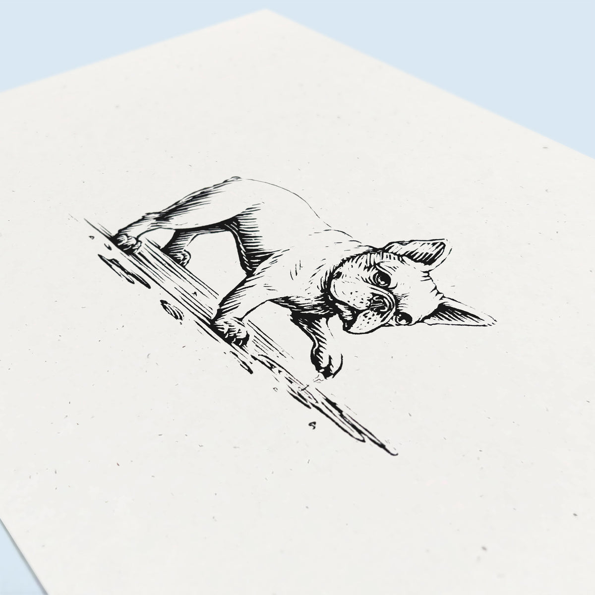 French Bulldog art print with a black ink drawing of a dog leaning on a branch