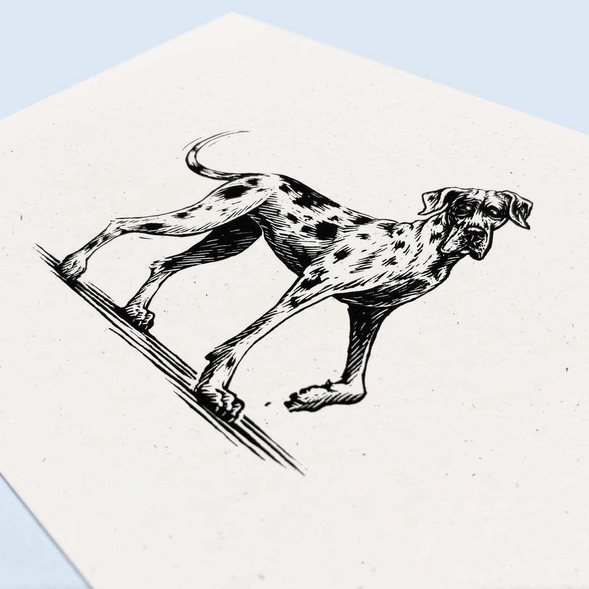 Great Dane Art Print