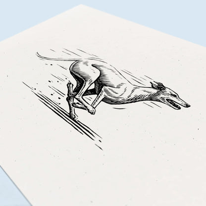 Greyhound Art Print