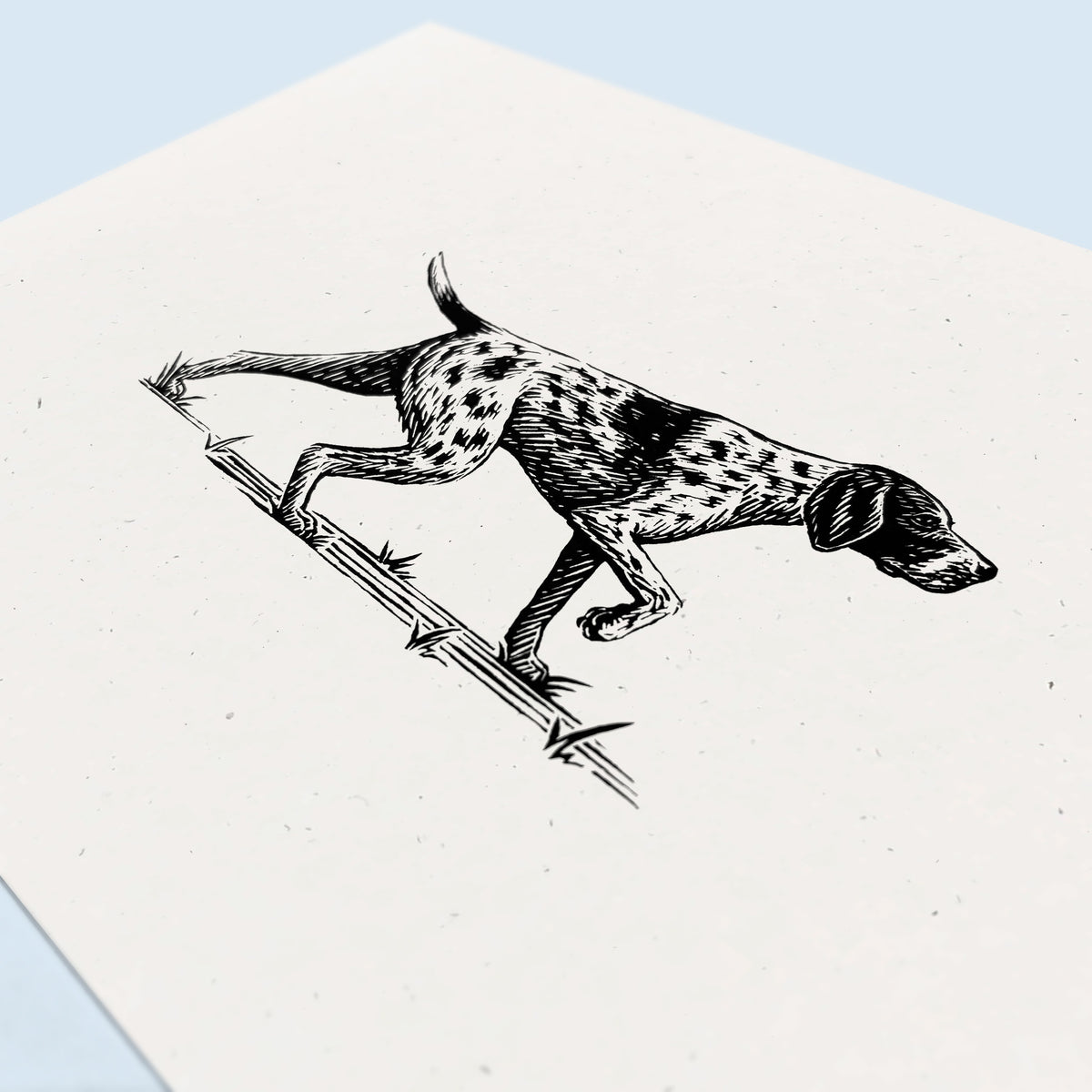 German Shorthaired Pointer Art Print