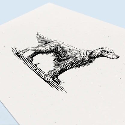 Irish Setter Art Print