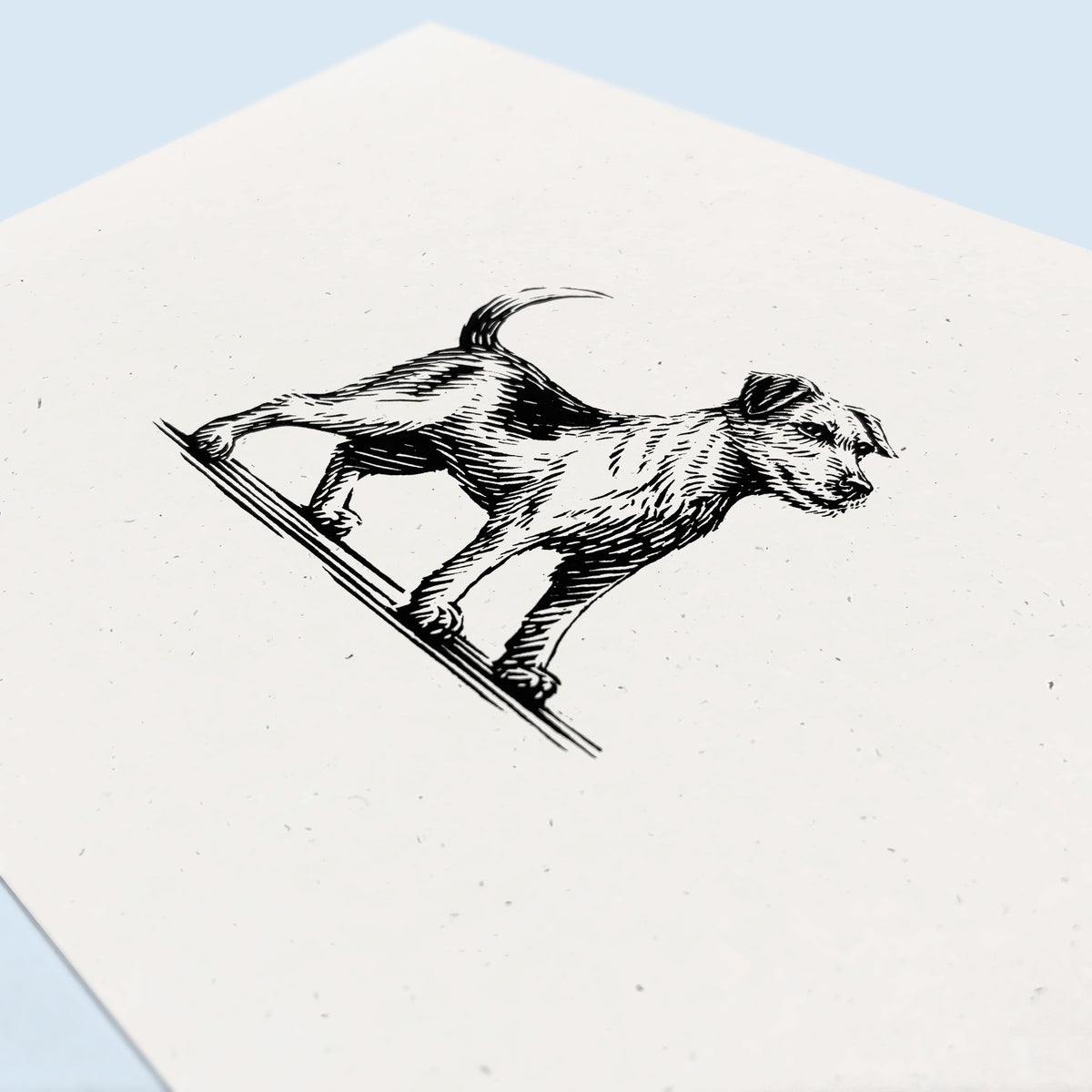Jack Russell Terrier Art Print