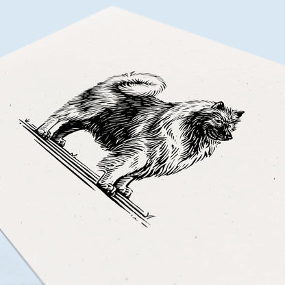 Keeshond Art Print
