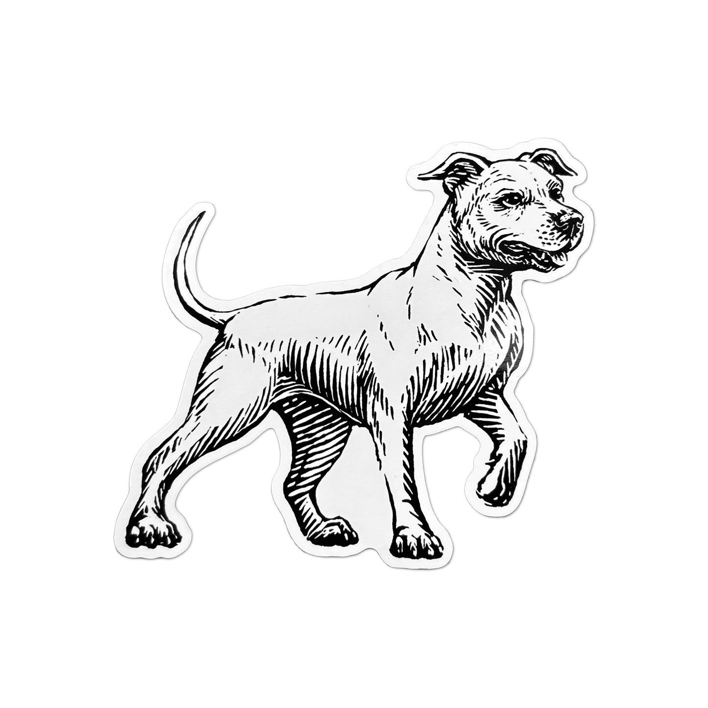 Pitbull Vinyl Sticker
