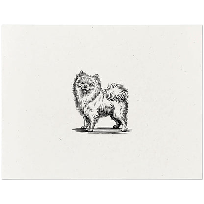 Pomeranian Art Print
