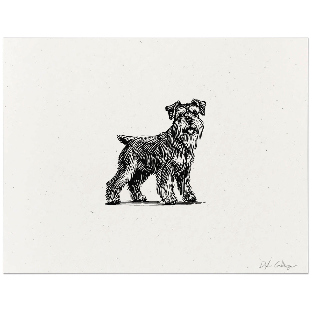 Schnauzer art print featuring a full-body black ink dog illustration