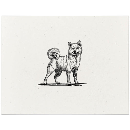 Shiba Inu Dog Art Print