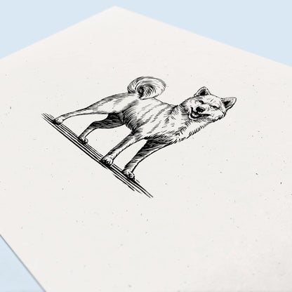 Shiba Inu Dog Art Print
