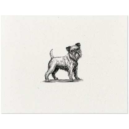 Brussels Griffon Art Print