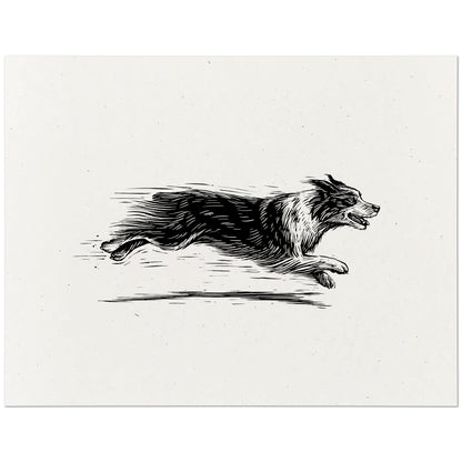 Australian Shepherd Art Print