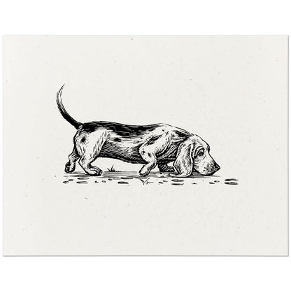 Basset Hound Art Print