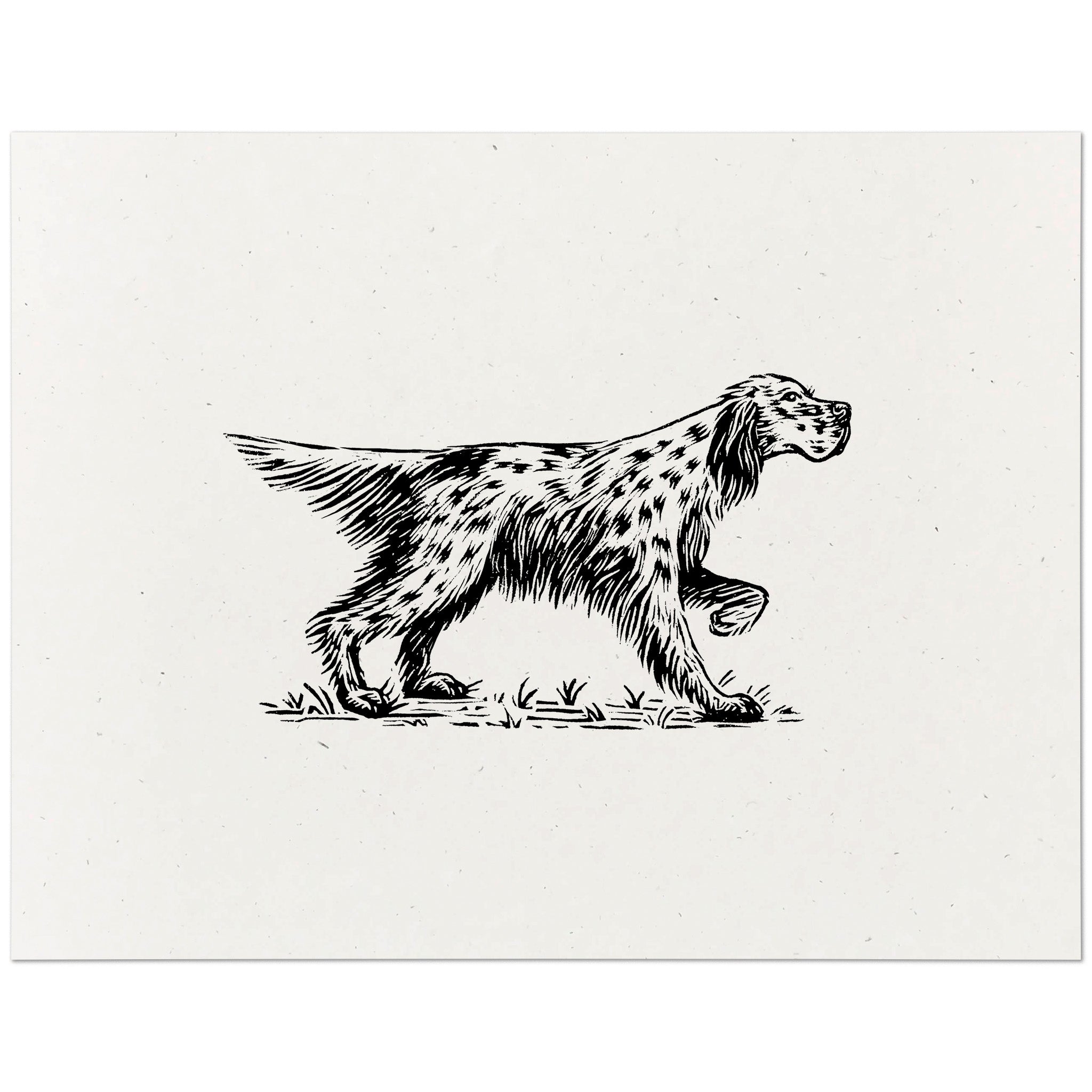 Setter Drawing Easy English Setter Art Print Dog Wall Art Screen Print by Dylan Goldberger ...