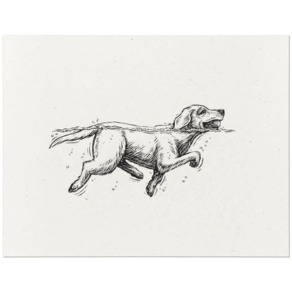Labrador Retriever Art Print