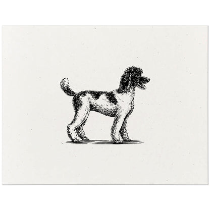 Standard Poodle Art Print