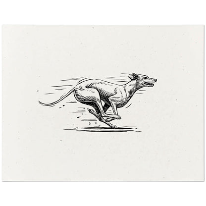 Greyhound Art Print